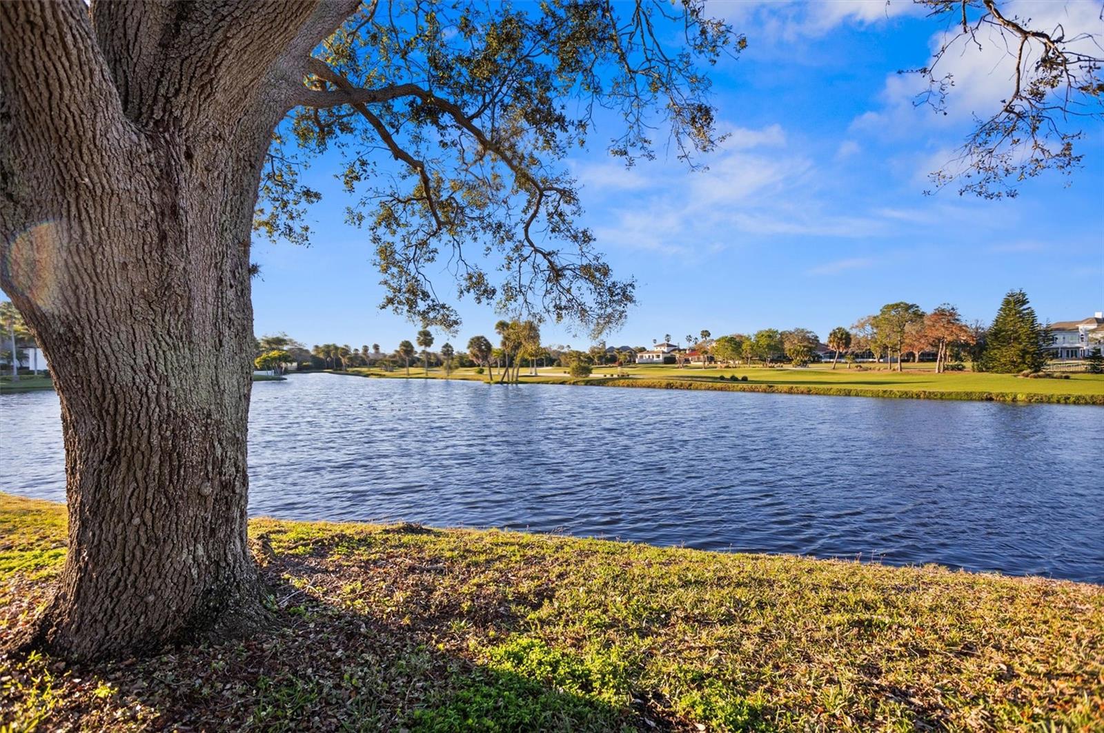 Image 62 of 84 For 5950 Pelican Bay Plaza S 405