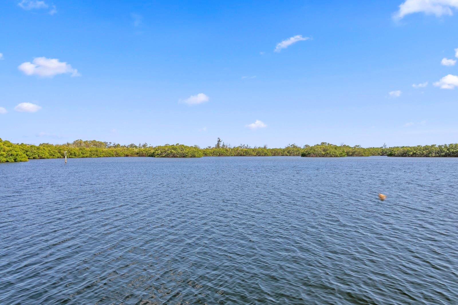 Image 68 of 100 For 1040 Paseo Del Rio Ne