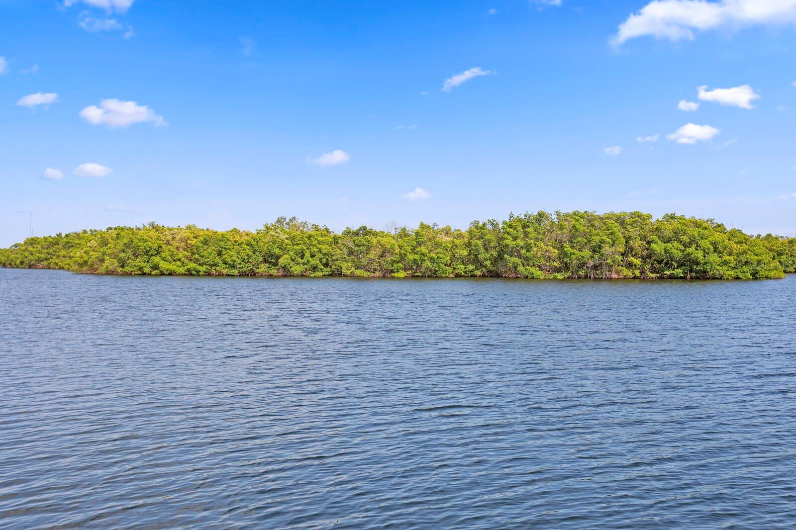 Image 69 of 100 For 1040 Paseo Del Rio Ne