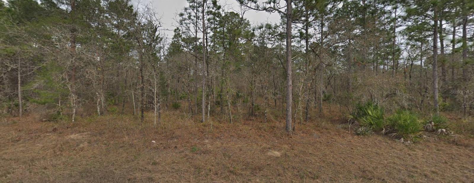 Details for 16246 Malden Road, BROOKSVILLE, FL 34614