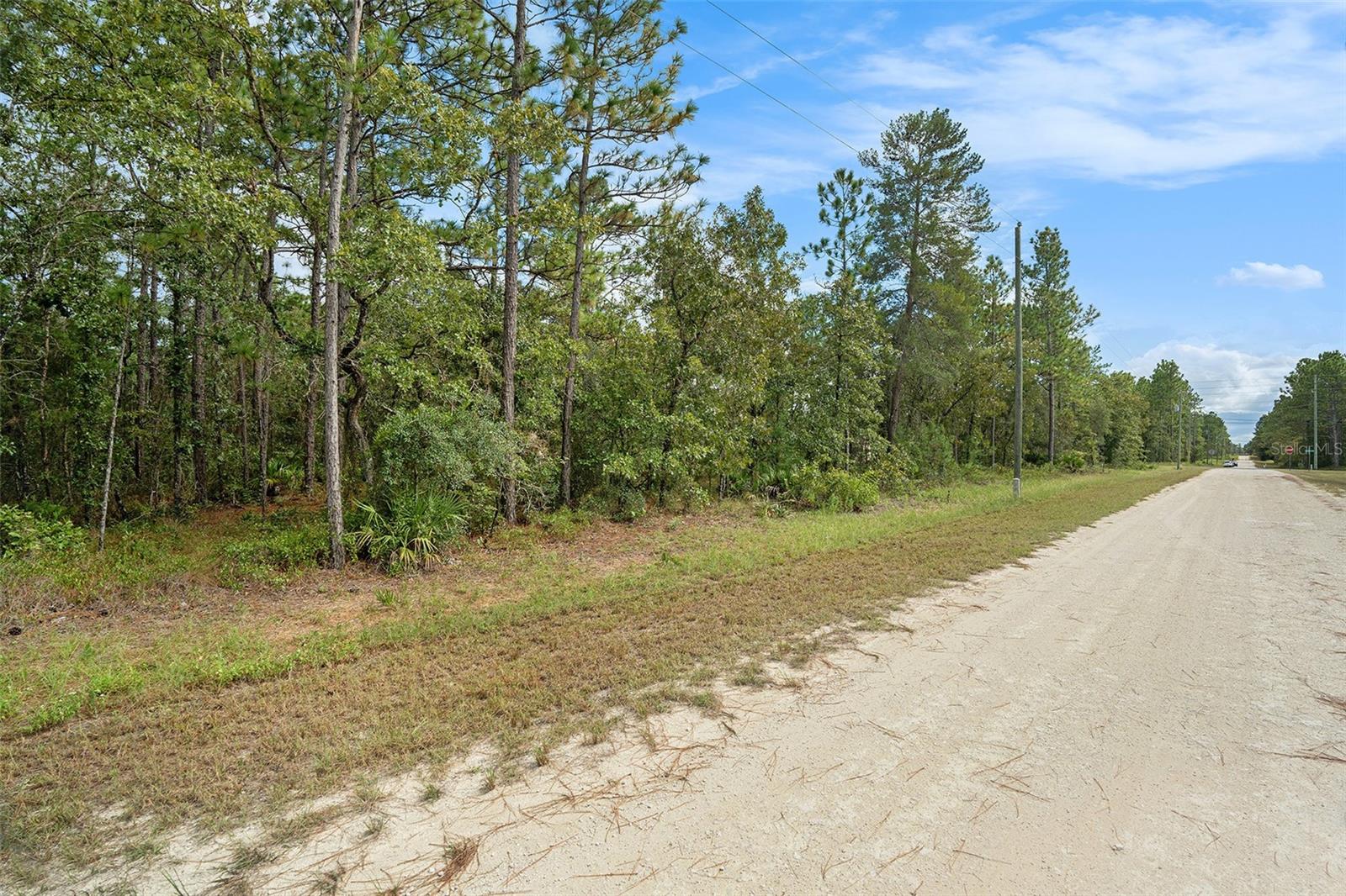 Image 3 of 17 For 16246 Malden Road
