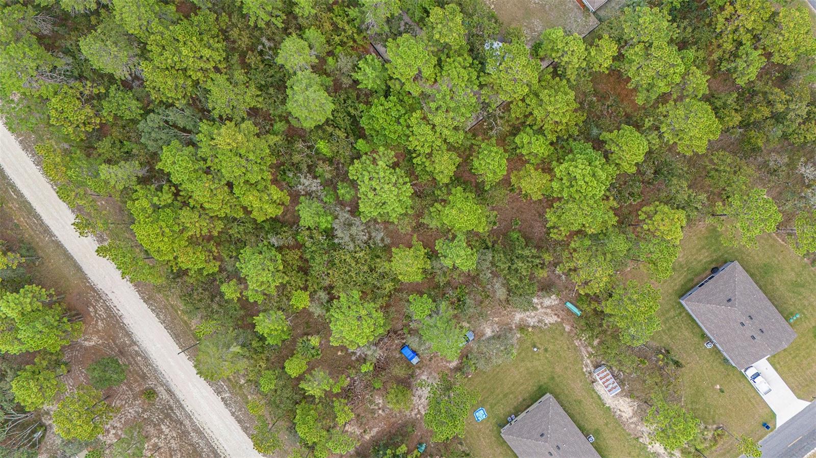 Image 8 of 17 For 16246 Malden Road