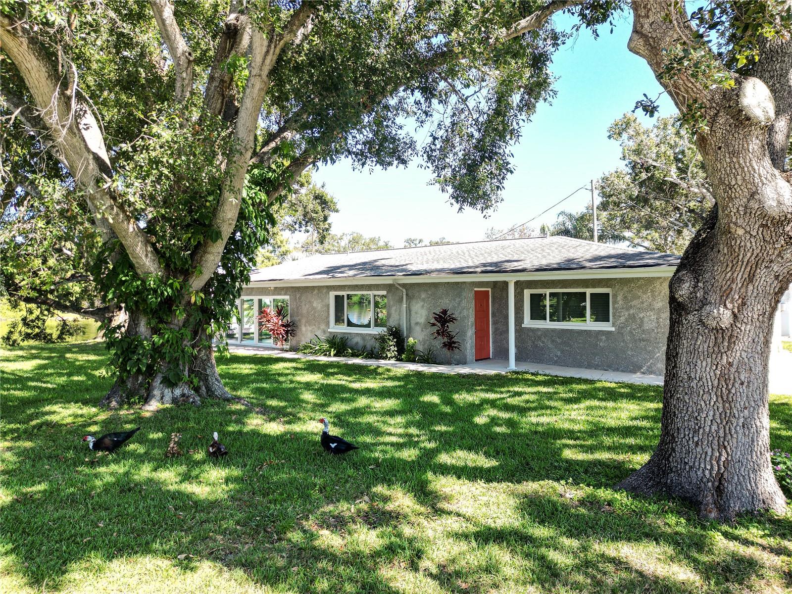 Image 2 of 25 For 10517 Blossom Lake Drive