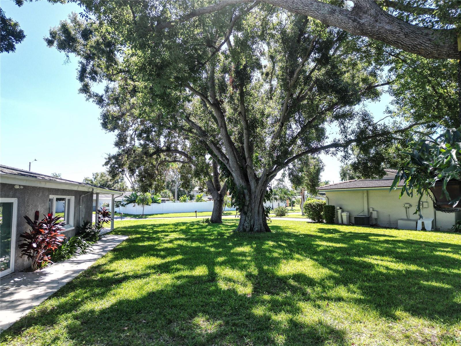 Image 23 of 25 For 10517 Blossom Lake Drive