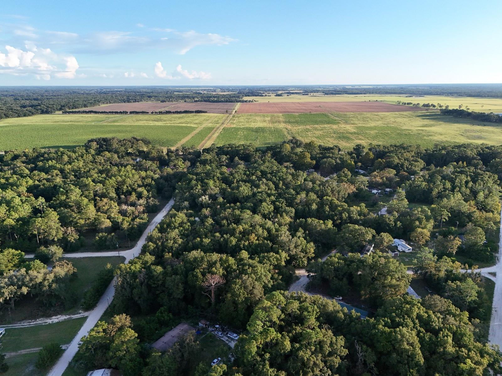 Image 10 of 14 For  2nd Place 