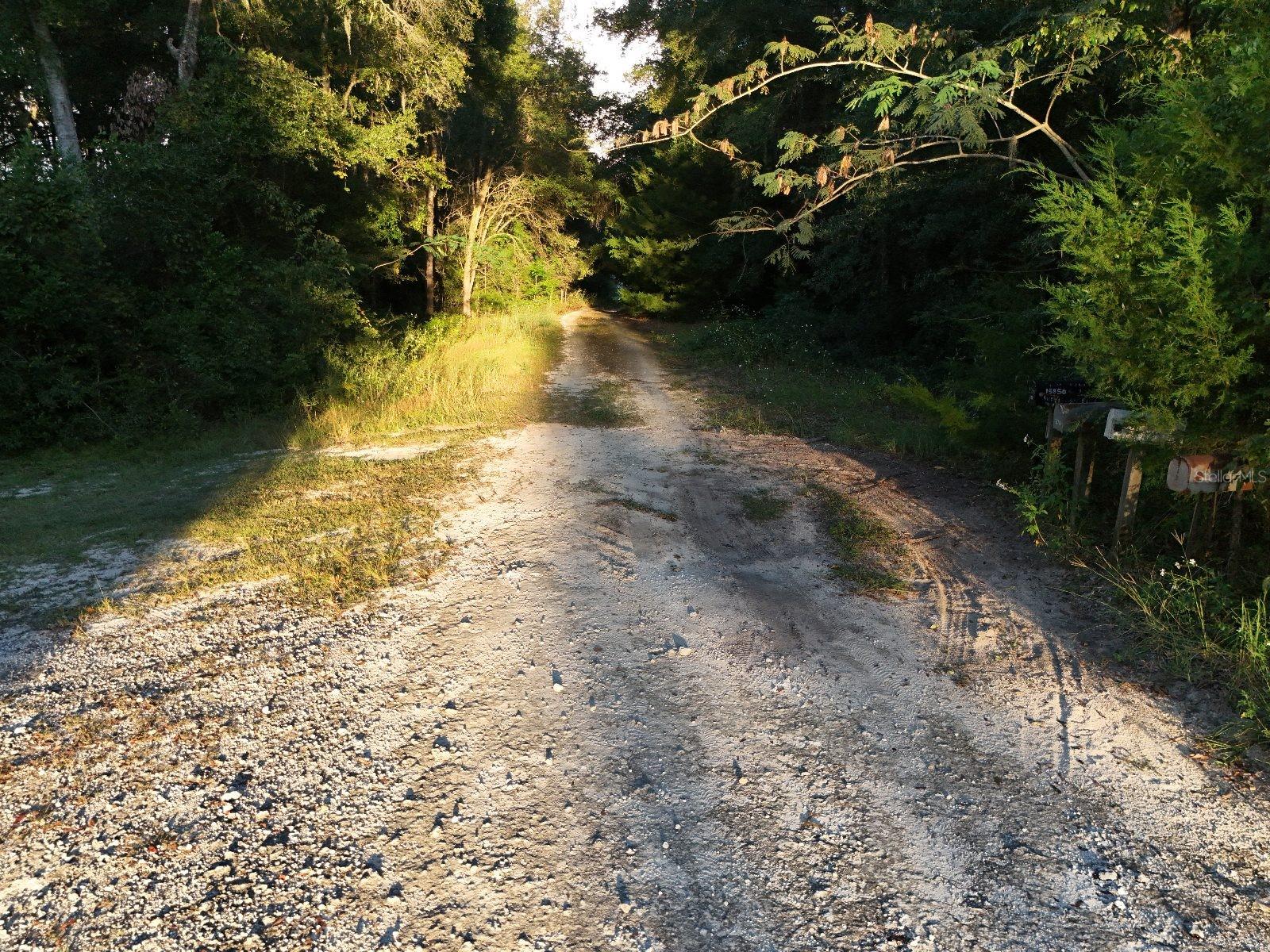 Image 12 of 14 For  2nd Place 