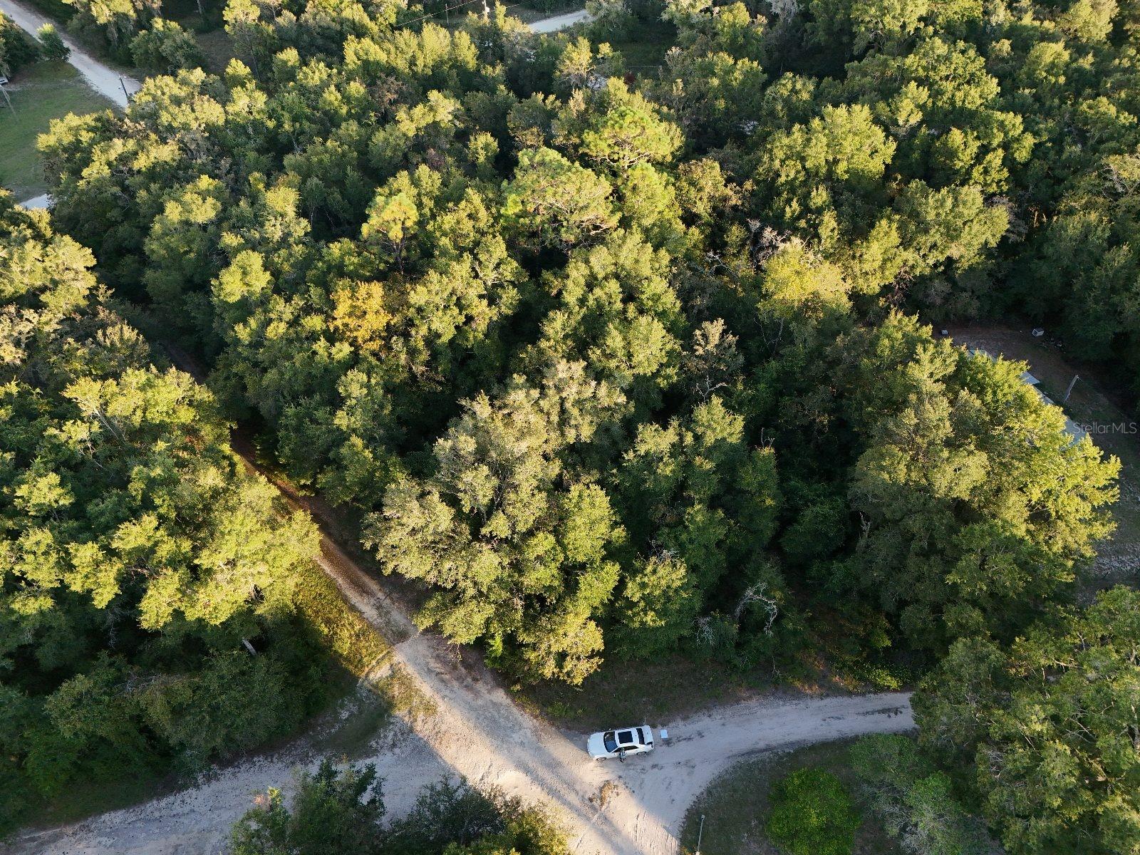 Image 13 of 14 For  2nd Place 