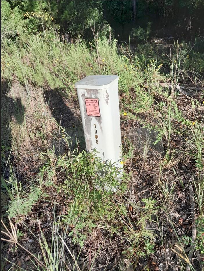 Image 14 of 14 For  2nd Place 