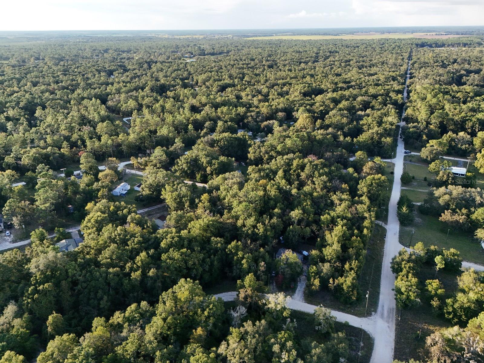 Image 2 of 14 For  2nd Place 