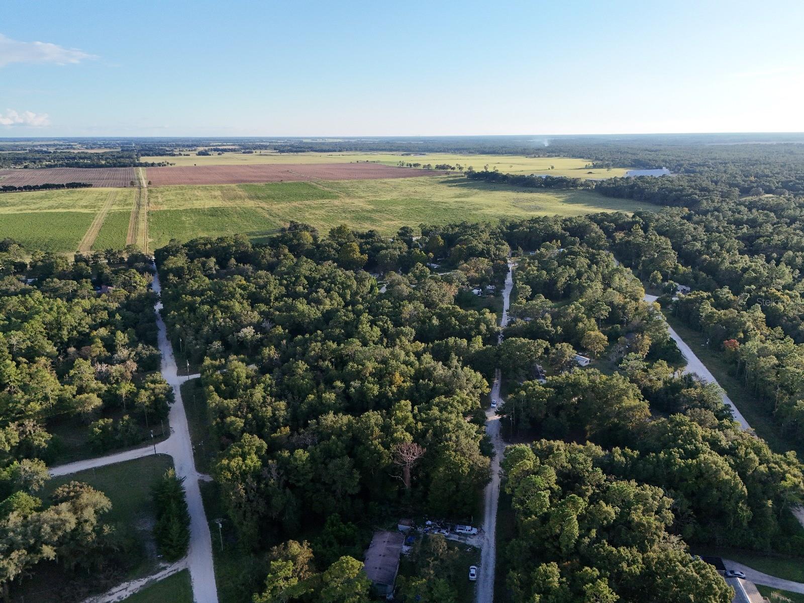 Image 3 of 14 For  2nd Place 