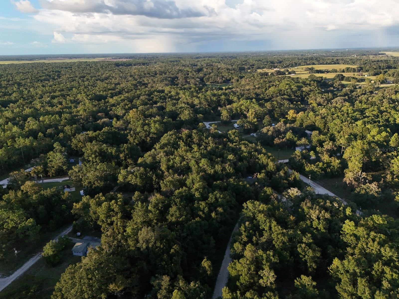 Image 5 of 14 For  2nd Place 