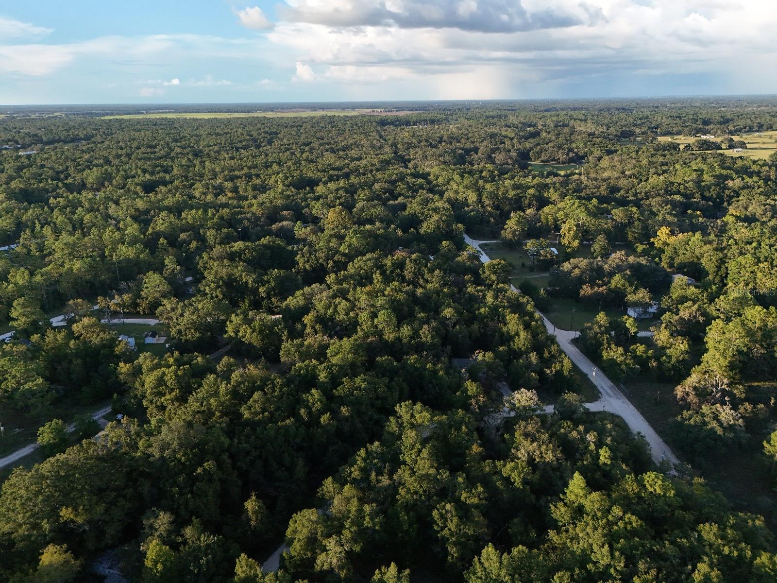 Image 9 of 14 For  2nd Place 