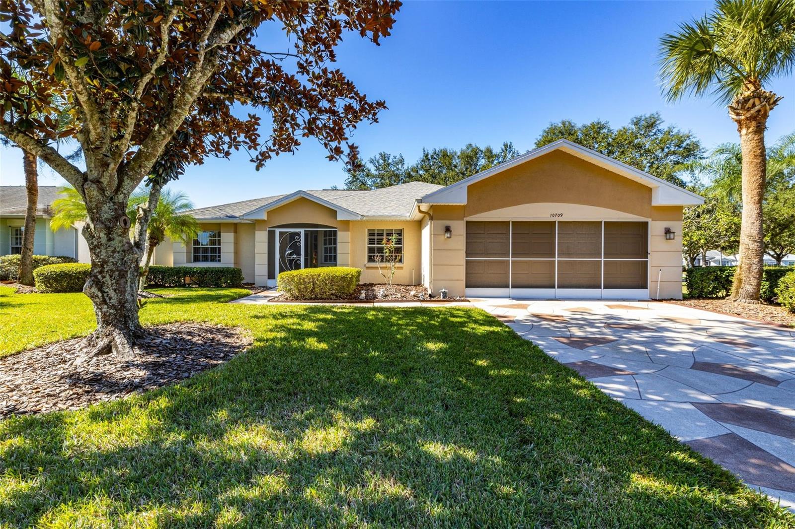 Details for 10709 Collar Dr, SAN ANTONIO, FL 33576