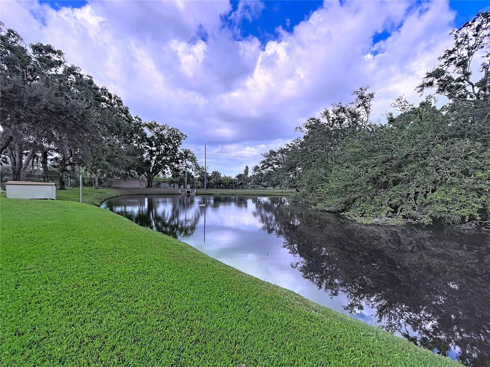 Image 18 of 36 For 4916 Sunnybrook Drive 14