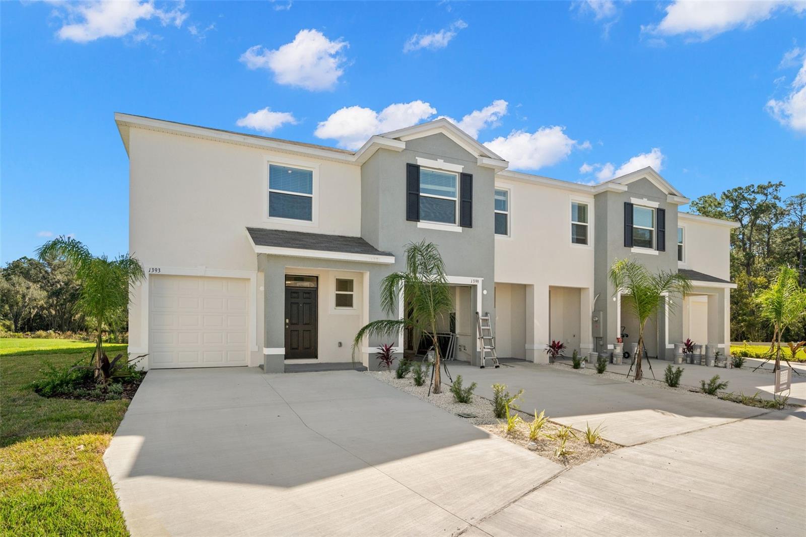Details for 1393 Colt Creek Place, WESLEY CHAPEL, FL 33543