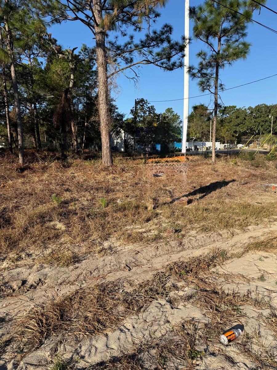 Image 4 of 5 For 13786 Linden Drive