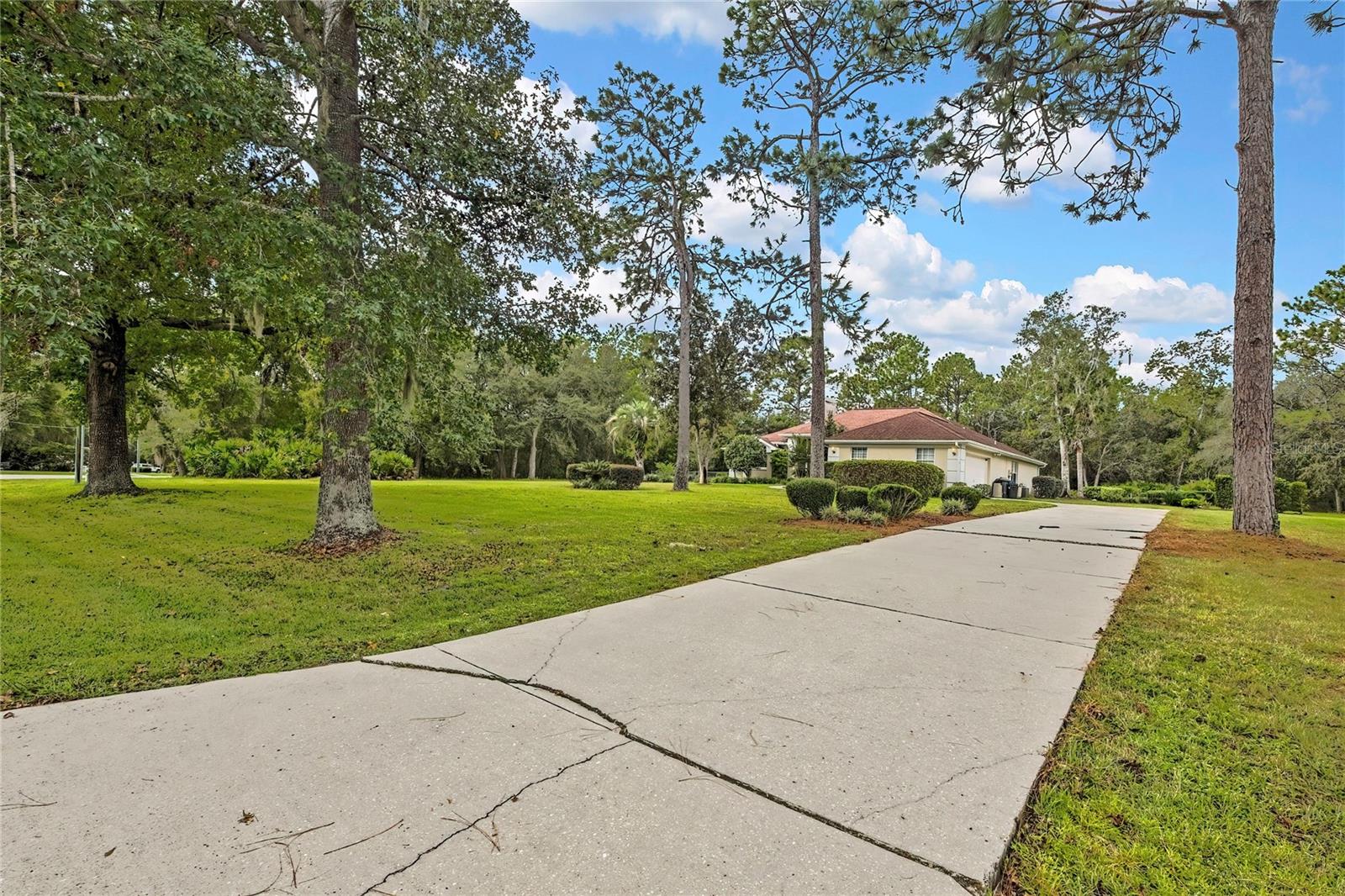 Listing photo id 0 for 3275 Daffodil Drive