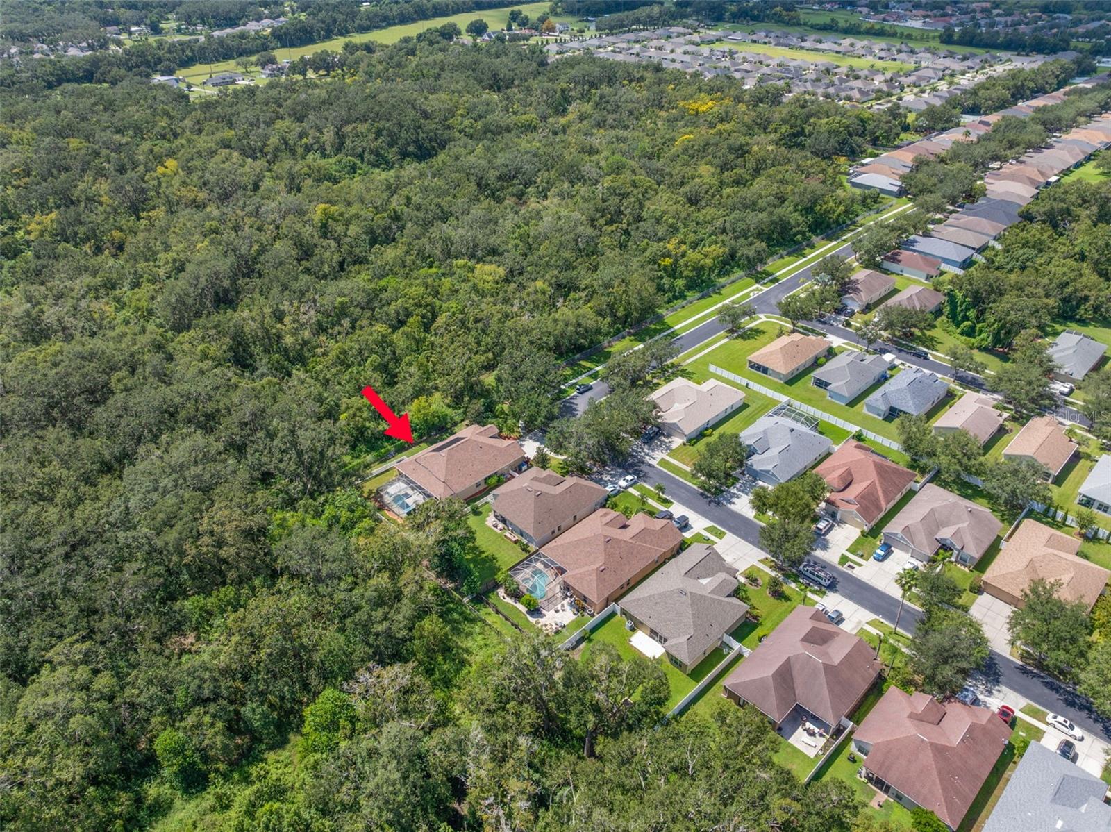 Image 46 of 65 For 1209 Emerald Hill Way