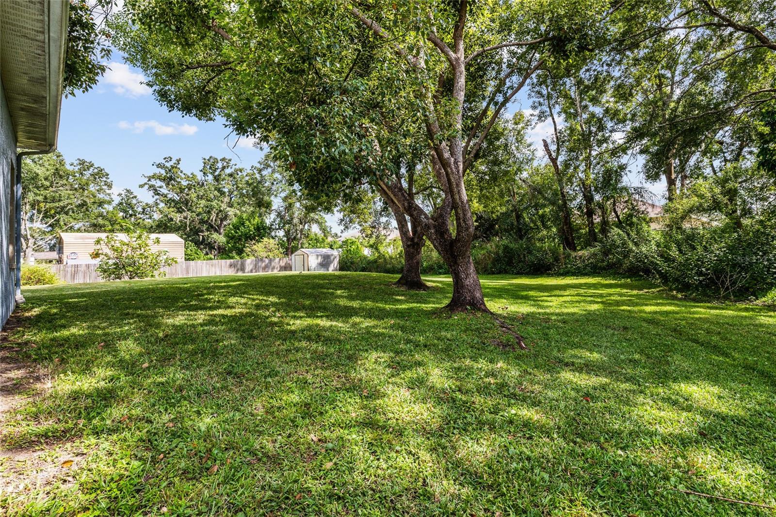 Listing photo id 30 for 22946 Brownwood Court