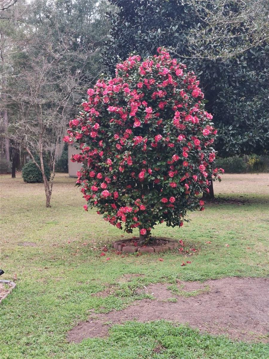 Image 19 of 21 For 8843 200th Circle