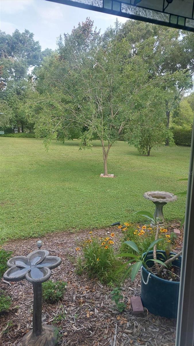 Image 20 of 21 For 8843 200th Circle