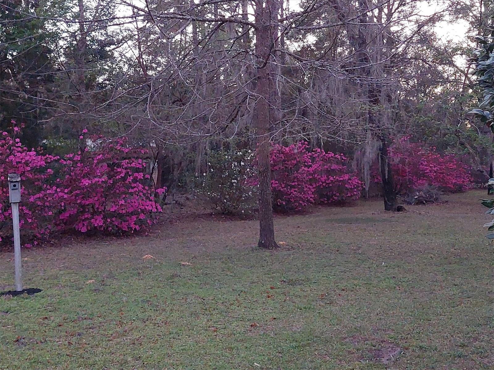 Image 5 of 21 For 8843 200th Circle