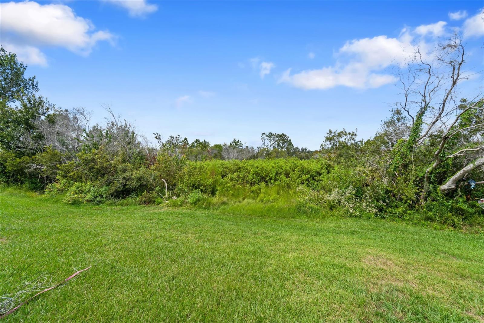 Image 59 of 82 For 4329 Ashton Meadows Way
