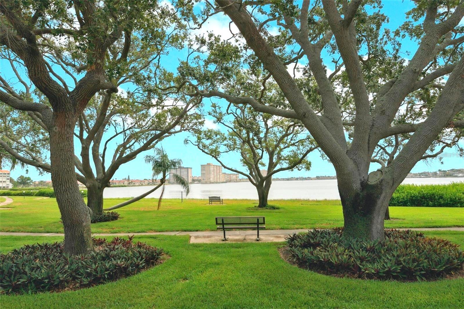 Image 6 of 47 For 6218 Palma Del Mar Boulevard S 307