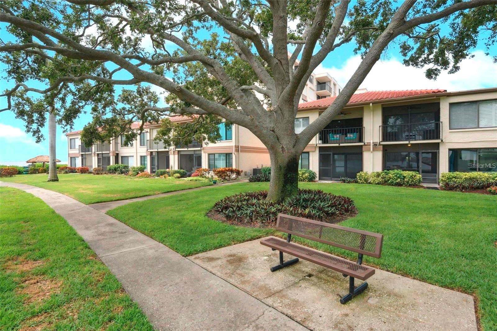 Image 7 of 47 For 6218 Palma Del Mar Boulevard S 307