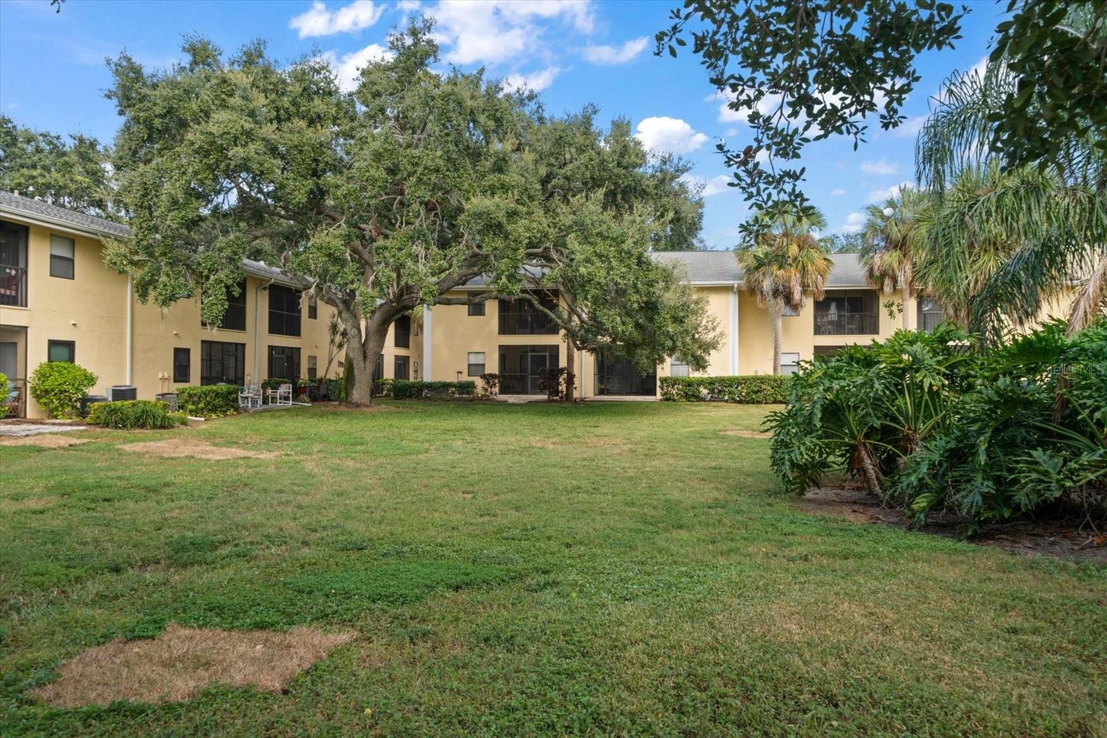 Image 38 of 43 For 3001 58th Avenue S 1216