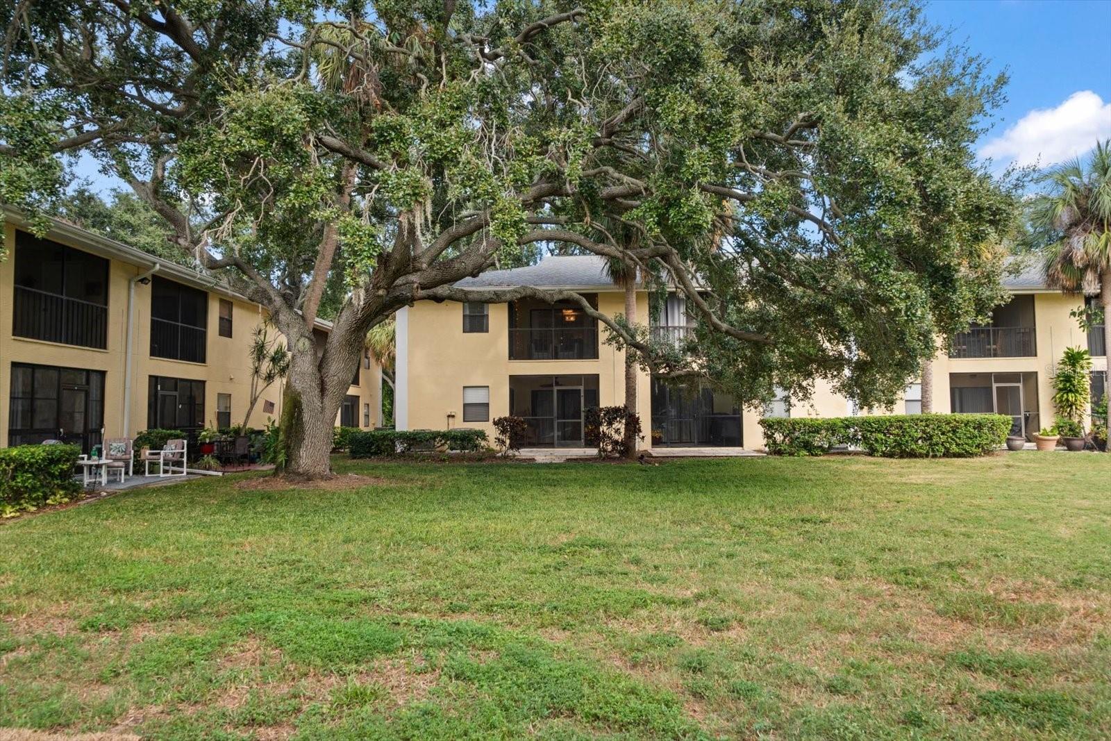 Image 39 of 43 For 3001 58th Avenue S 1216