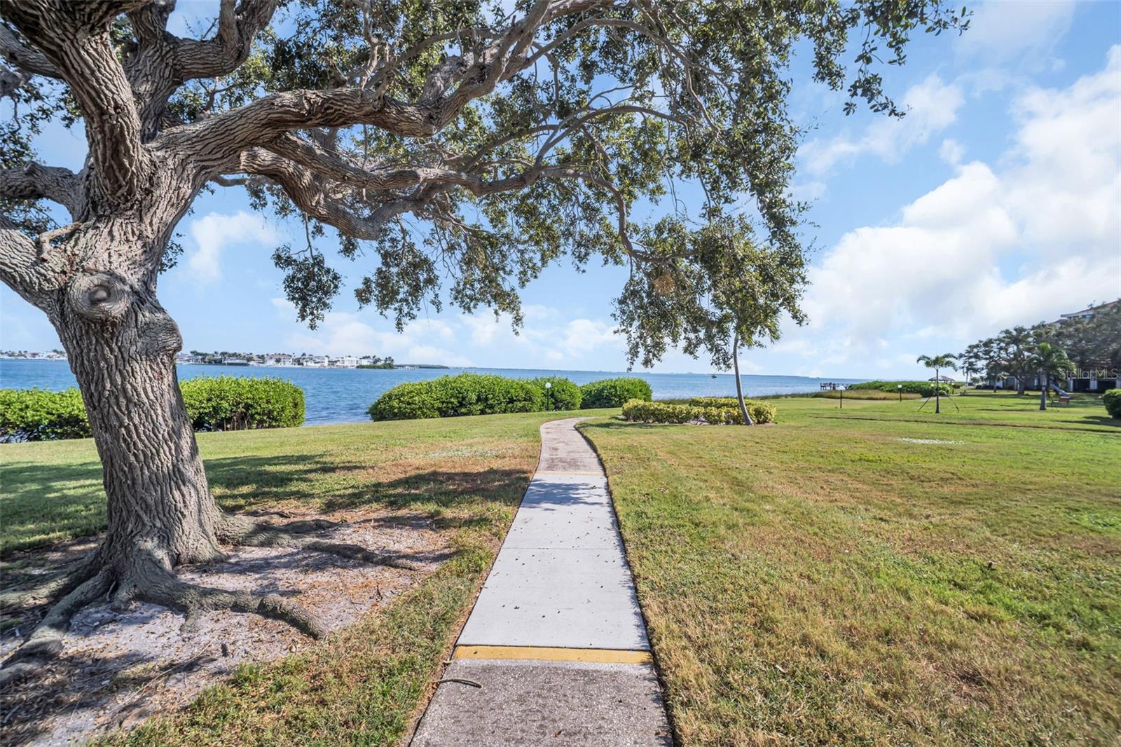 Image 33 of 49 For 6158 Palma Del Mar Boulevard S 505