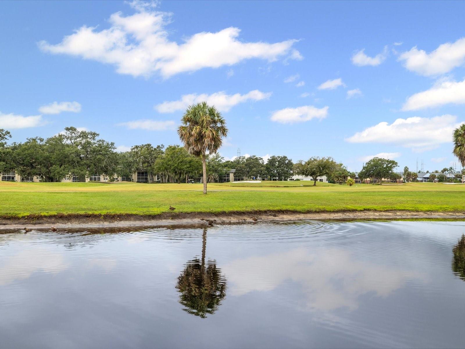 Image 43 of 85 For 225 Country Club Drive 1211