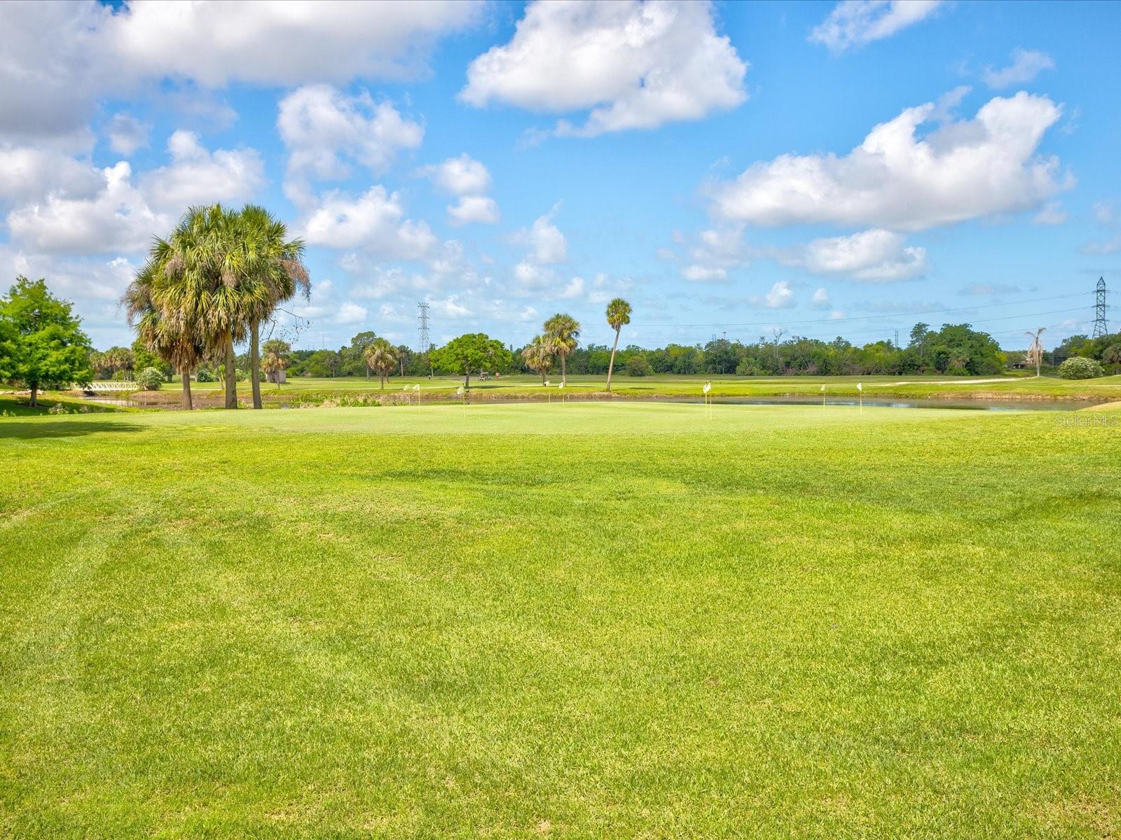 Image 85 of 85 For 225 Country Club Drive 1211