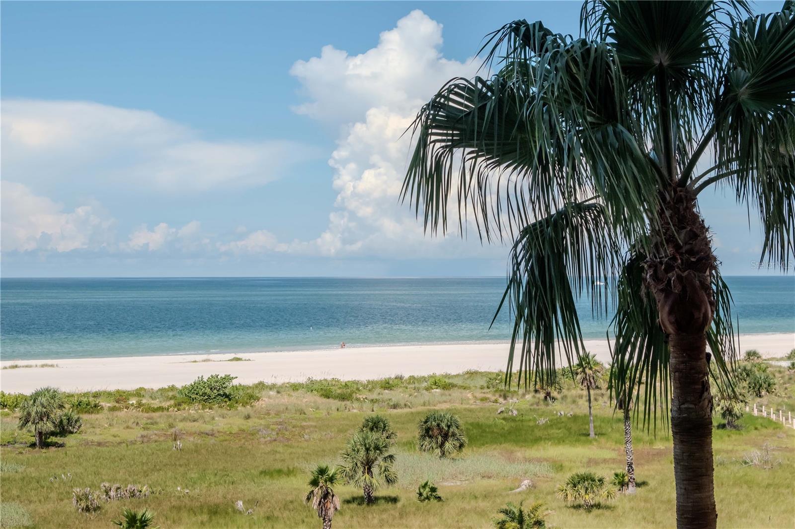 Image 38 of 54 For 1230 Gulf Boulevard 604