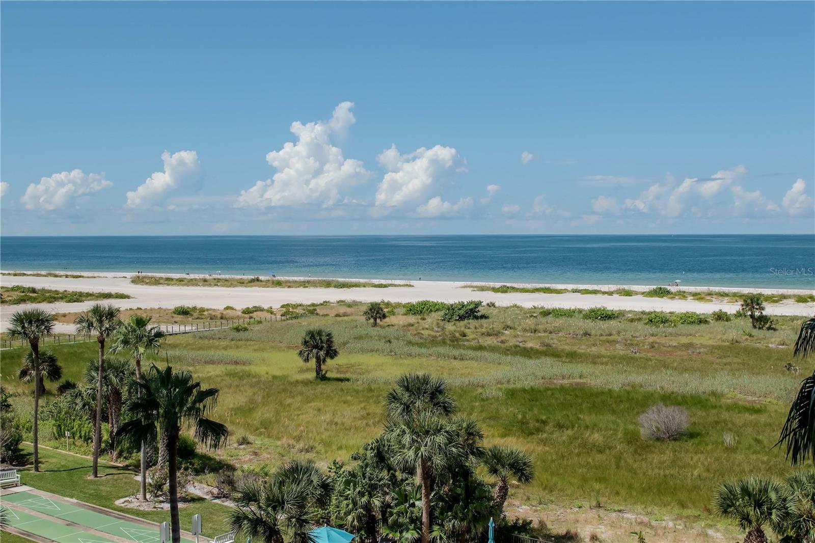 Image 39 of 54 For 1230 Gulf Boulevard 604
