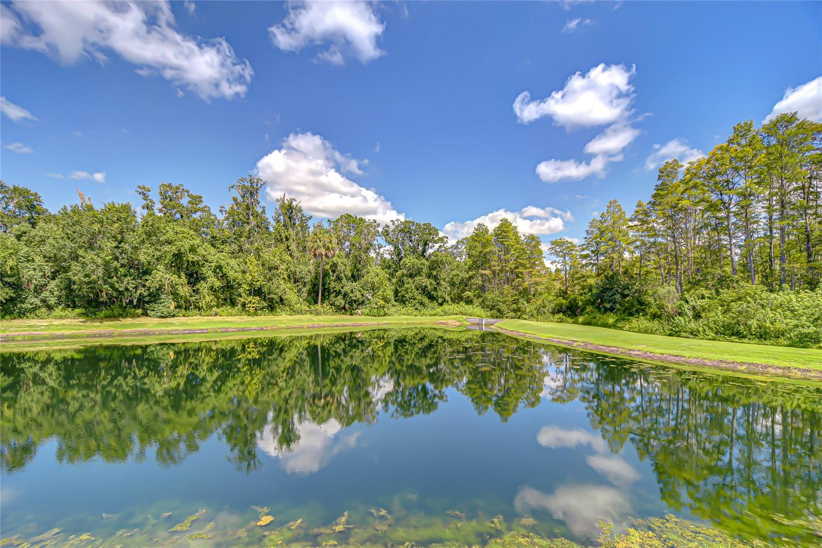 Listing photo id 63 for 21867 Amelia Rose Way