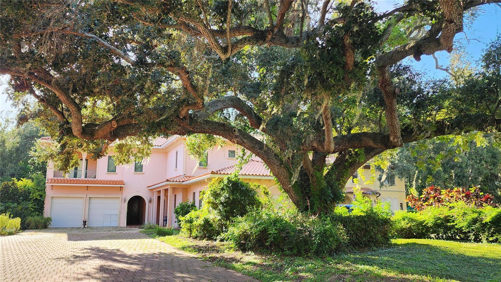 Image 2 of 38 For 1962 Freedom Drive