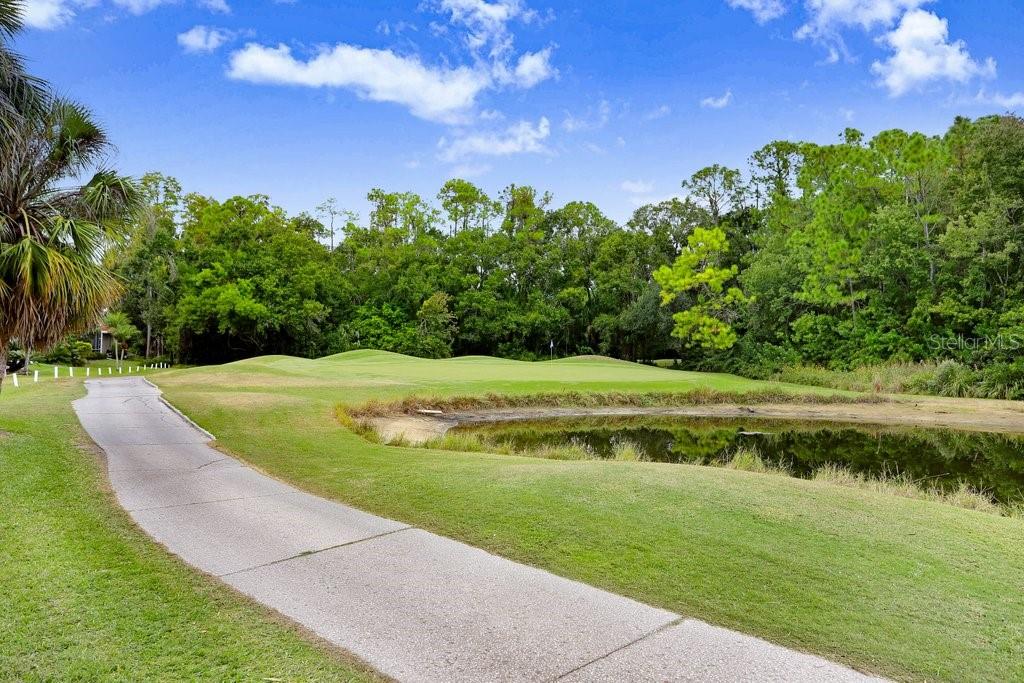 Image 48 of 77 For 12009 Brewster Drive