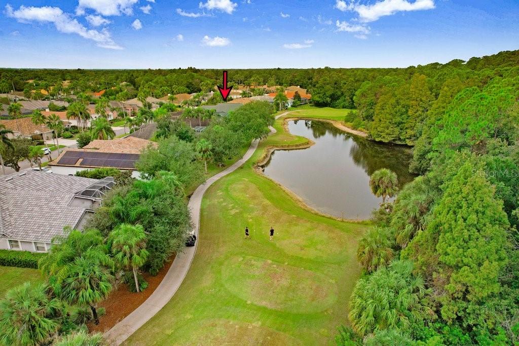 Image 51 of 77 For 12009 Brewster Drive