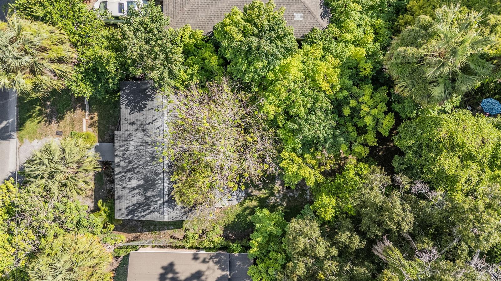 Image 27 of 29 For 8210 10th Street