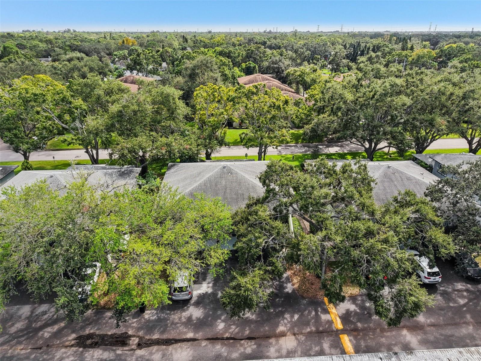 Image 22 of 29 For 2906 Lichen Lane B