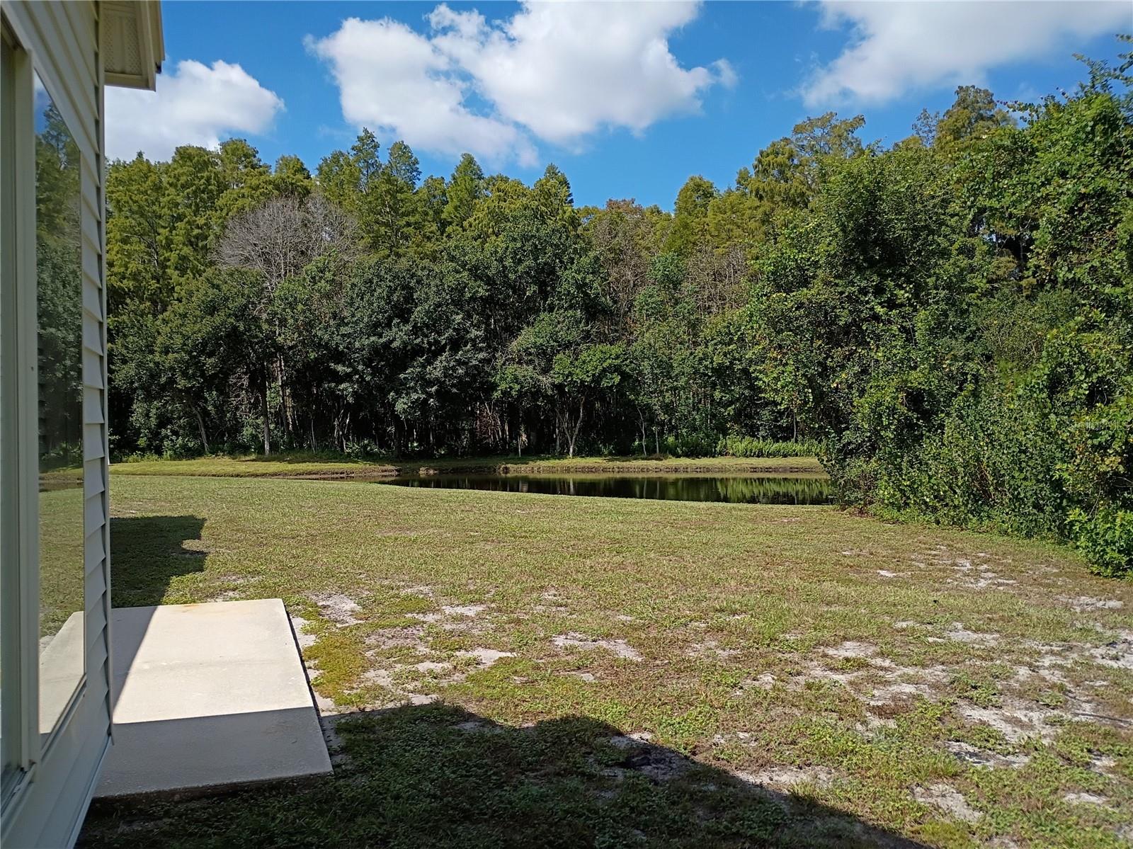 Image 8 of 46 For 1237 Mazarion Place