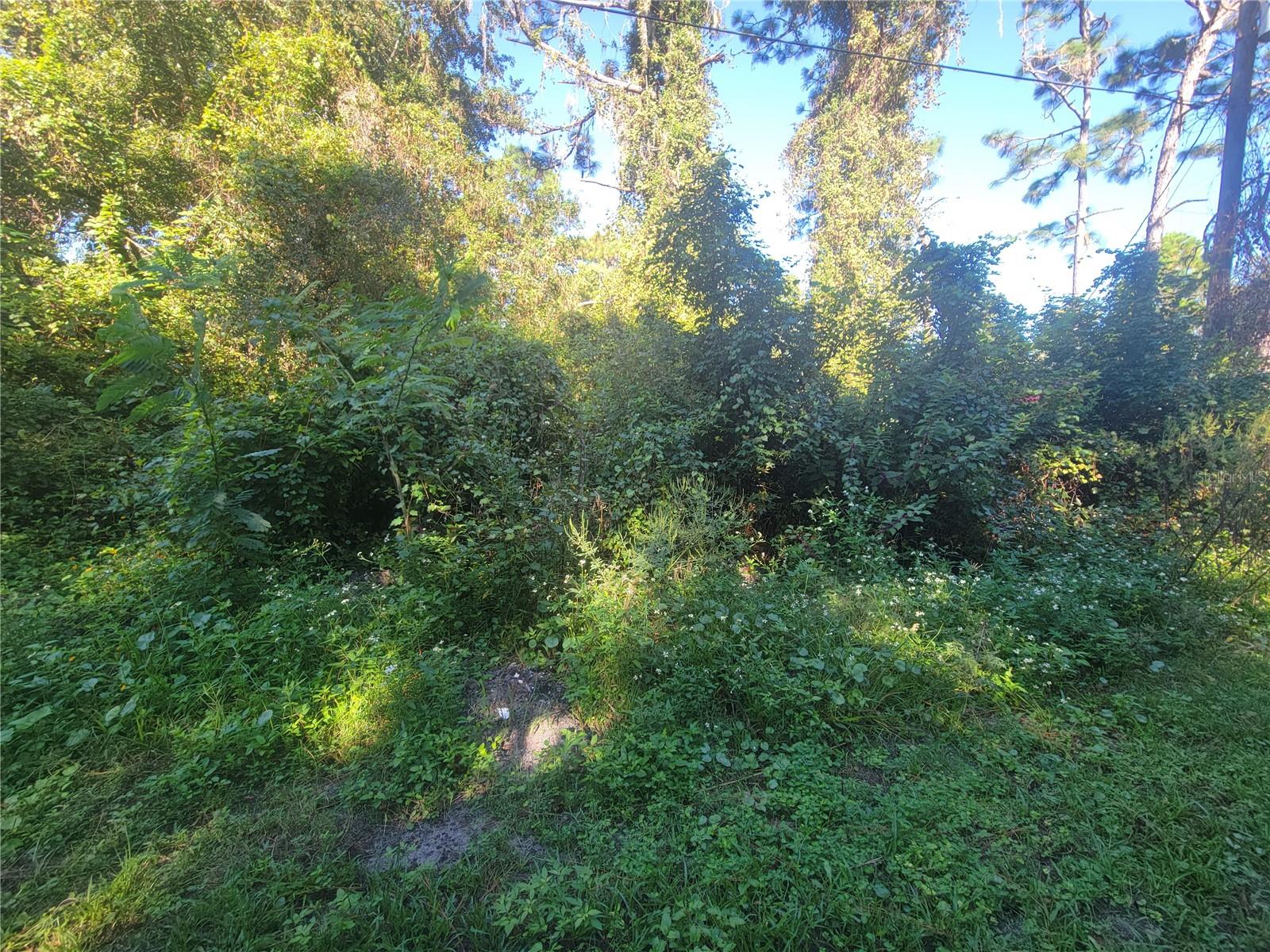 Listing photo id 0 for Naper Street