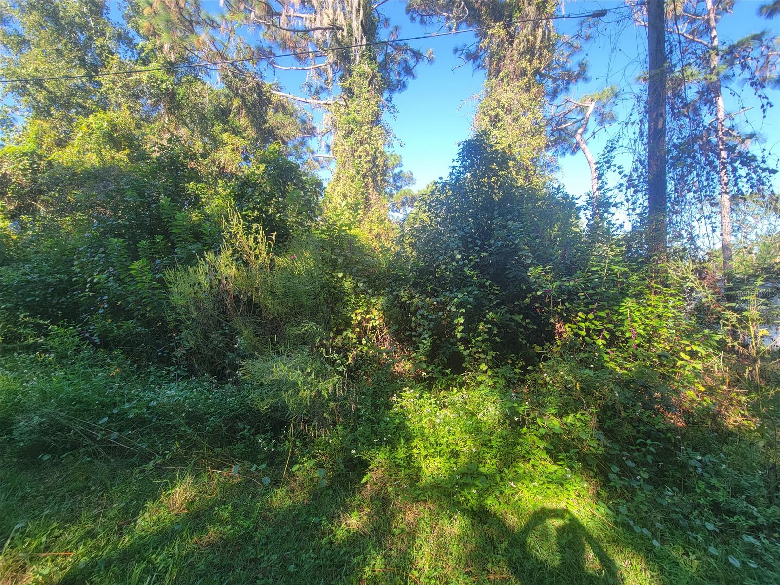 Listing photo id 1 for Naper Street