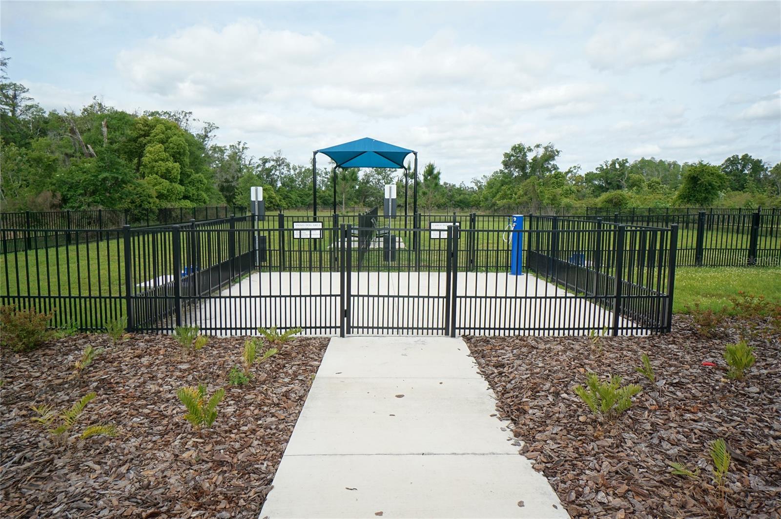 Image 32 of 37 For 20926 Drake Elm Drive