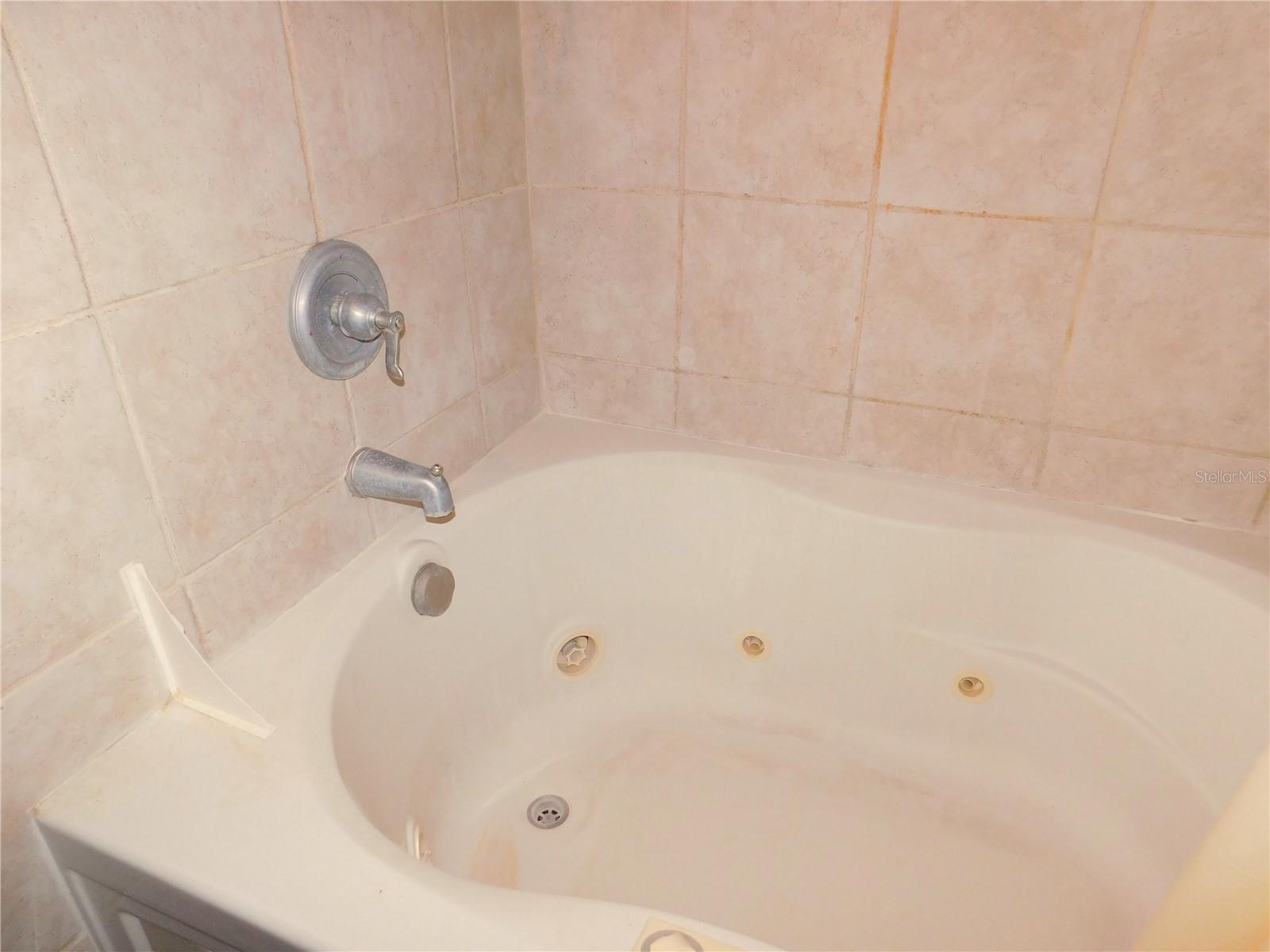 Image 43 of 65 For 2700 Bayshore Boulevard 2c 578