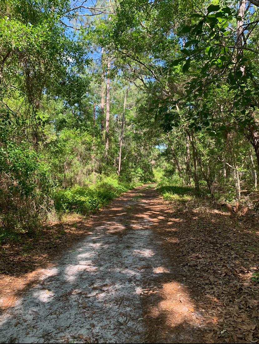 Details for 0 226th Street, FORT MC COY, FL 32134