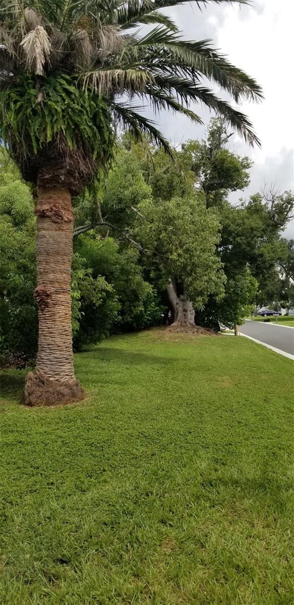 Image 21 of 21 For 12731 106th Street