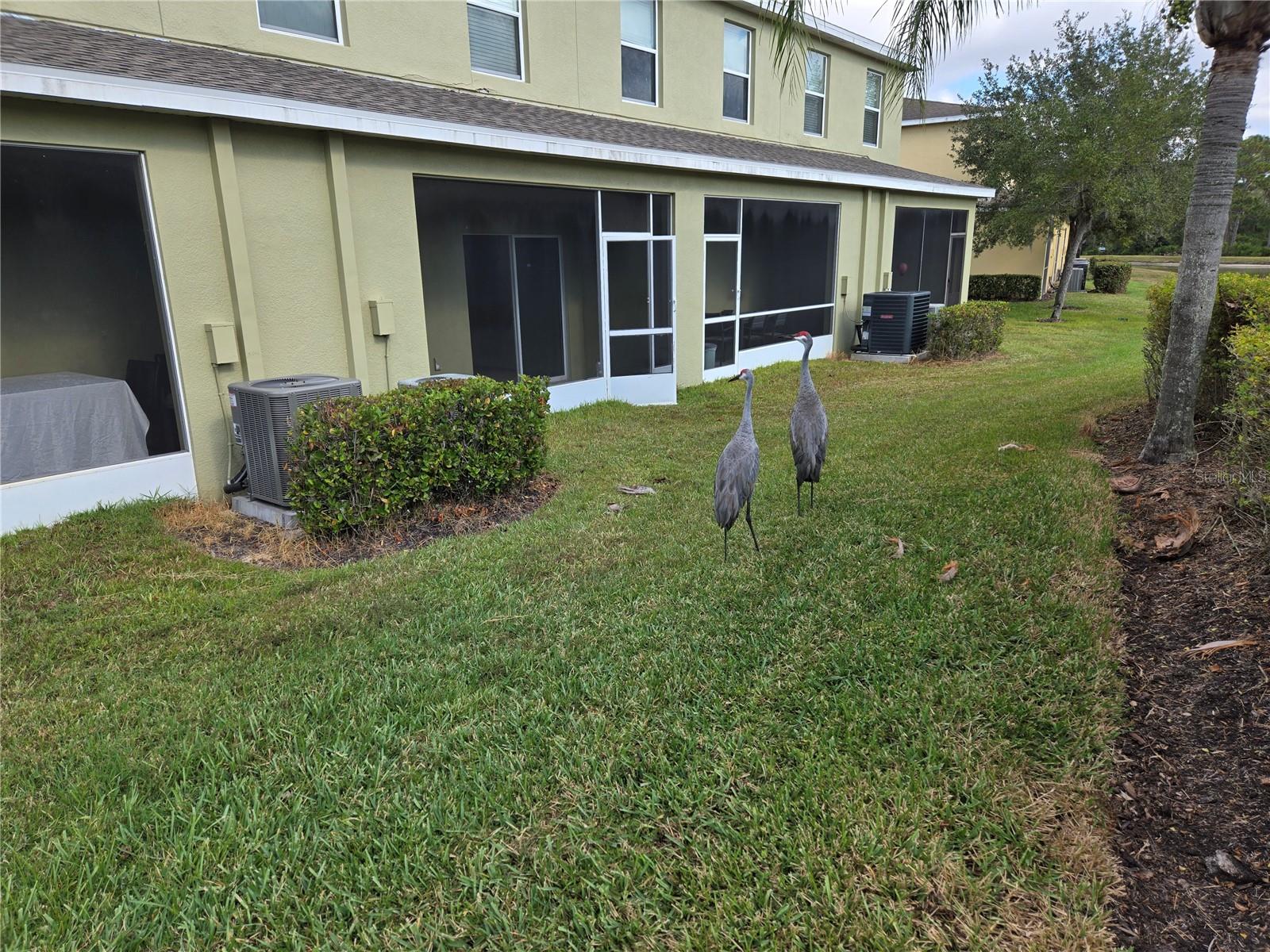 Image 59 of 72 For 20407 Berrywood Lane